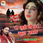 Wo Mujhe Main Use Bhool Jau - Arshad Kamli Qawwal Song Download