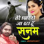 Tere Shahar Se Jaa Raha Hoon Sanam - Arshad Kamli Qawwal Song Download
